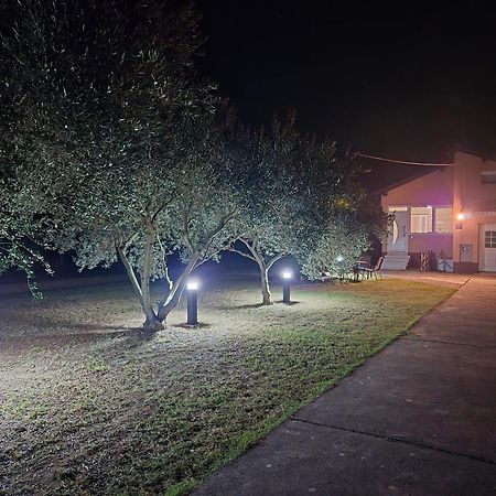 Holiday Home Begonja プリヴラカ エクステリア 写真